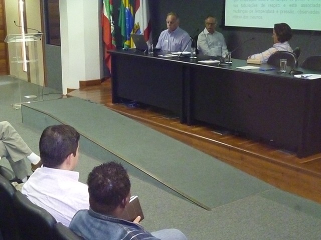 Foto da galeria